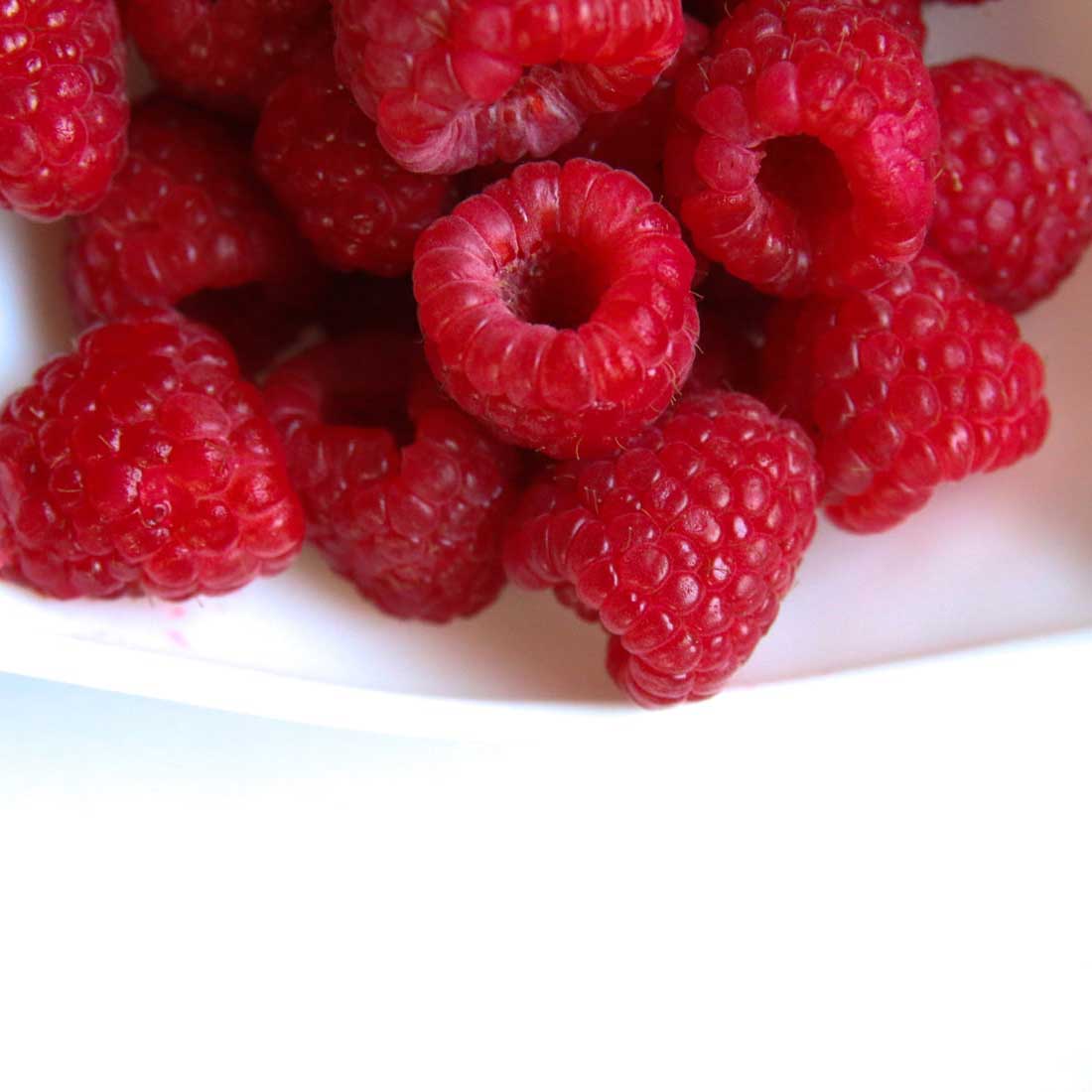 raspberry